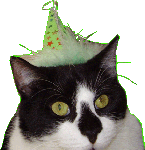 otto wizard