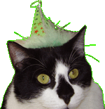 otto wizard